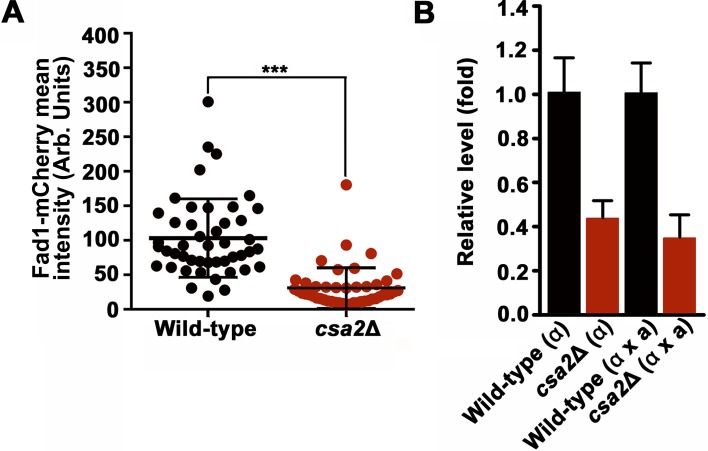 Figure 6—figure supplement 2.