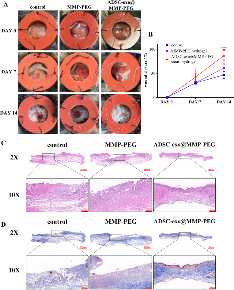 Fig. 7