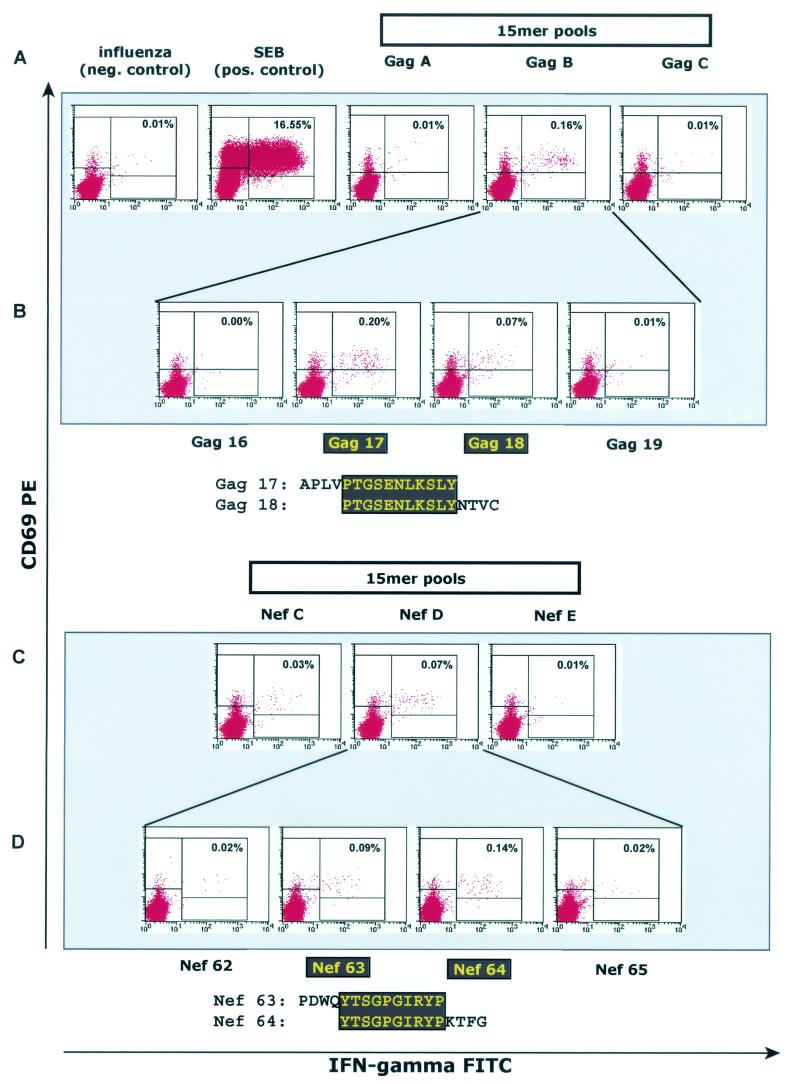 FIG. 1.