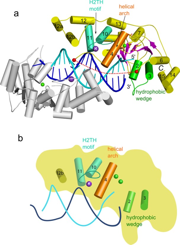 Figure 1.