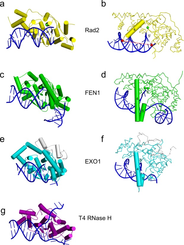 Figure 4.