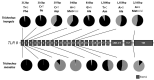 Figure 3 -