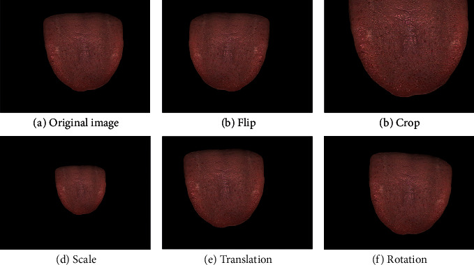 Figure 9