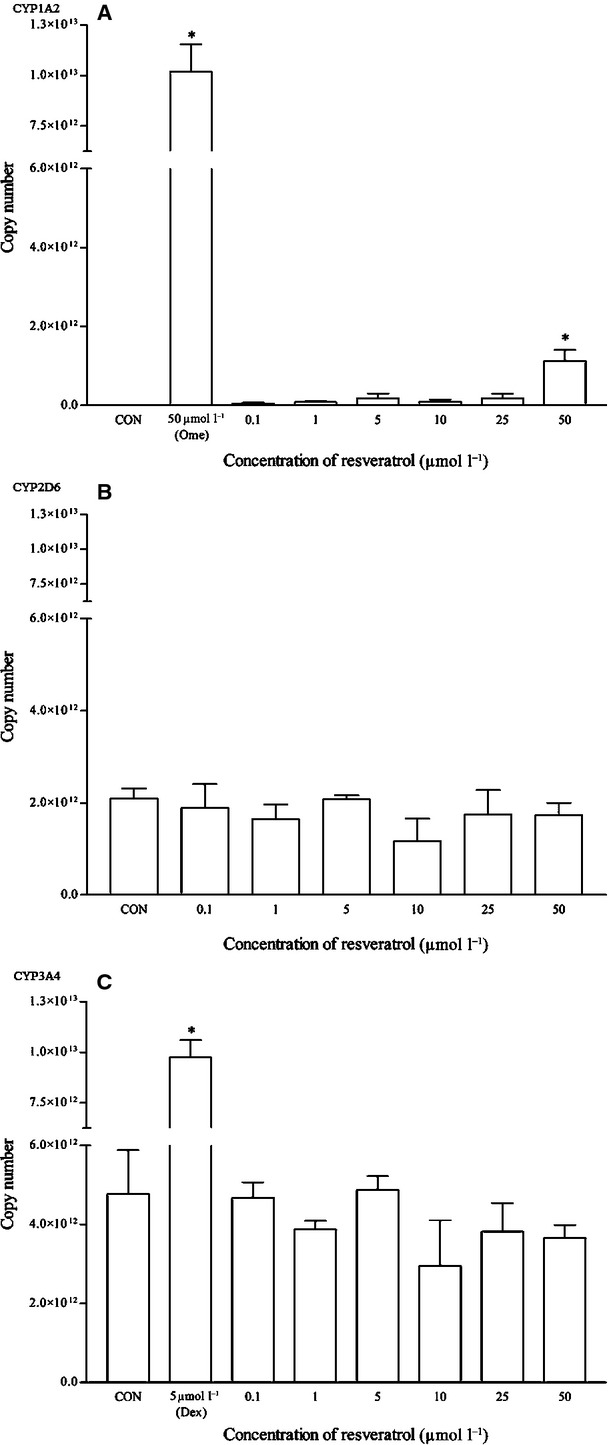 Figure 20