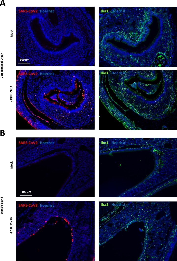 Supplementary Fig. 2