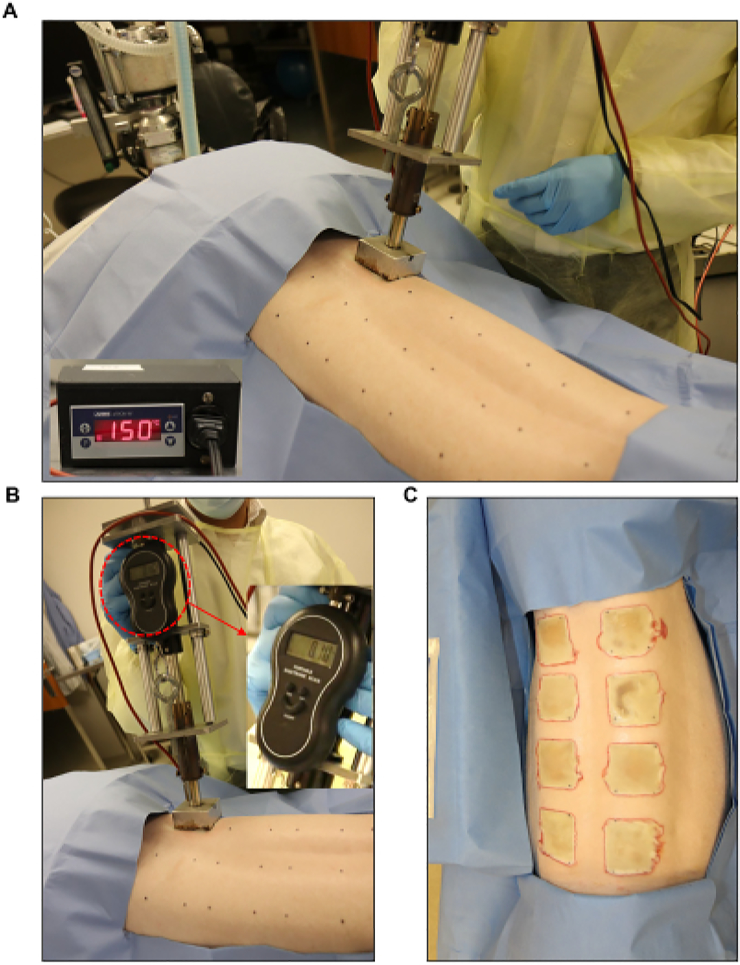 Figure 3: