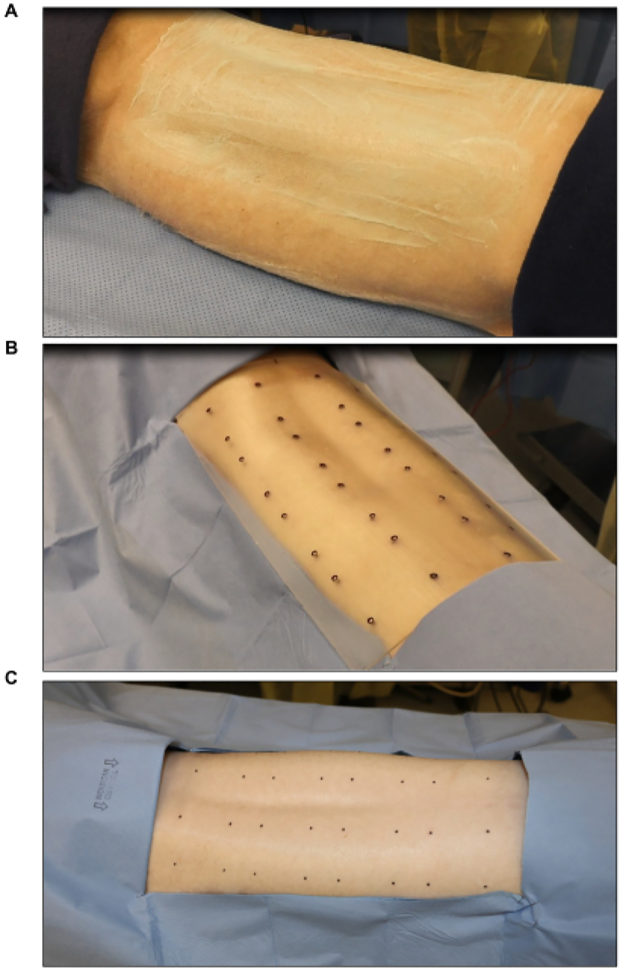 Figure 2: