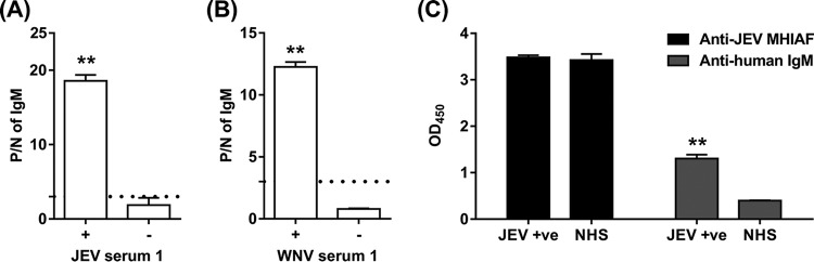 FIG 1