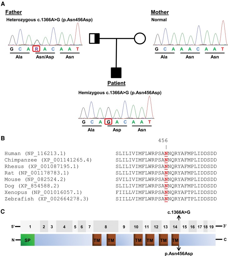 Figure 4.