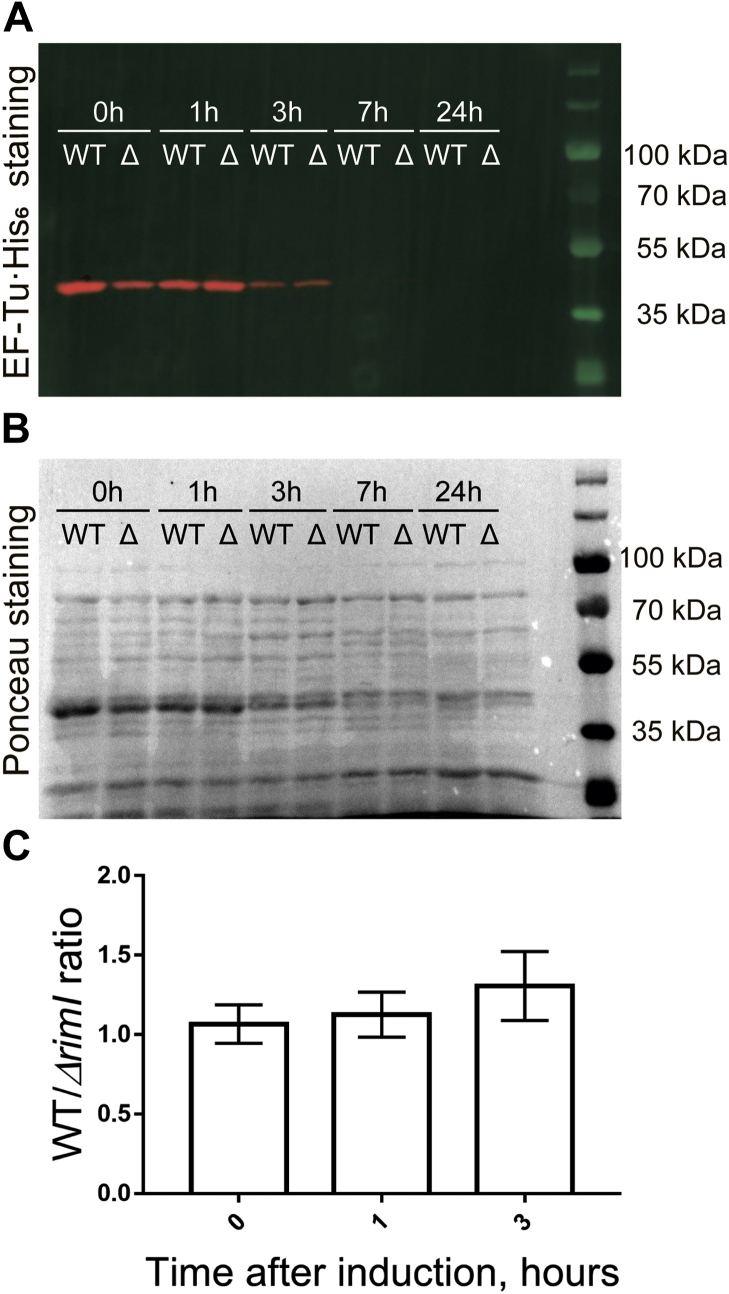 Figure 3