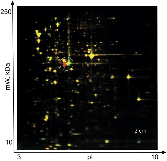 Figure 1