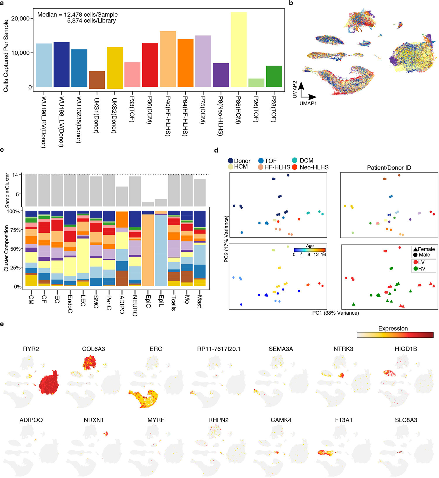 Extended Data Fig. 1 |