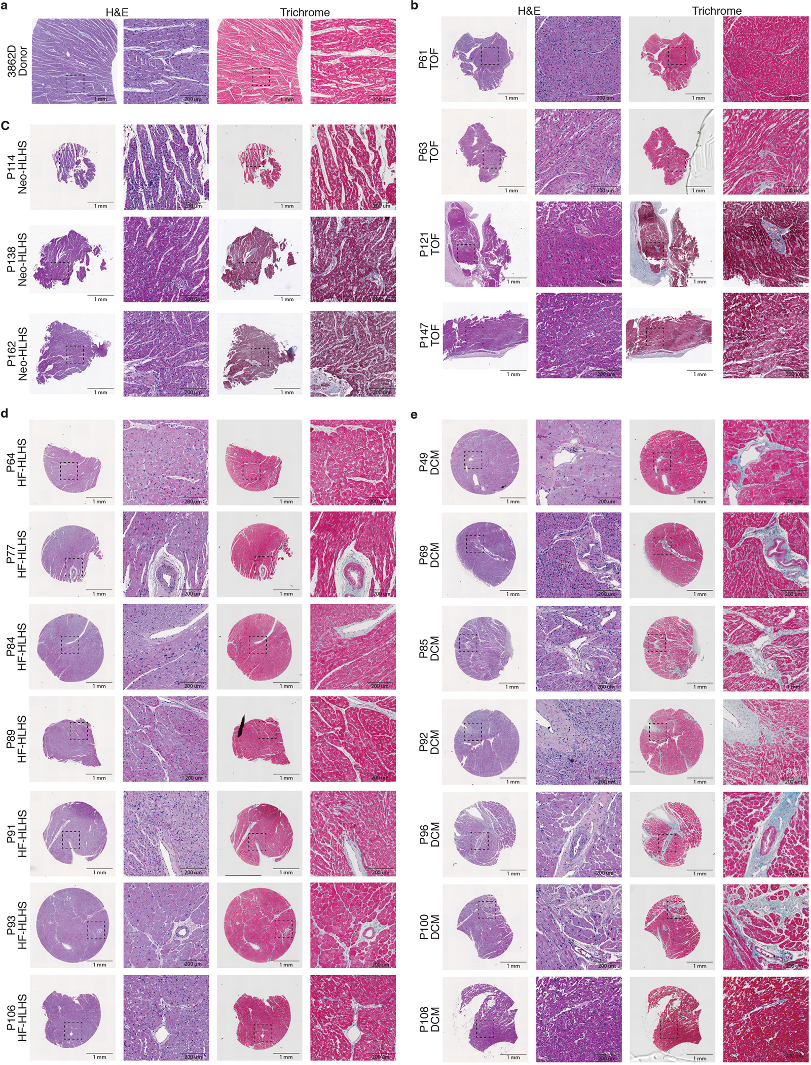 Extended Data Fig. 6 |