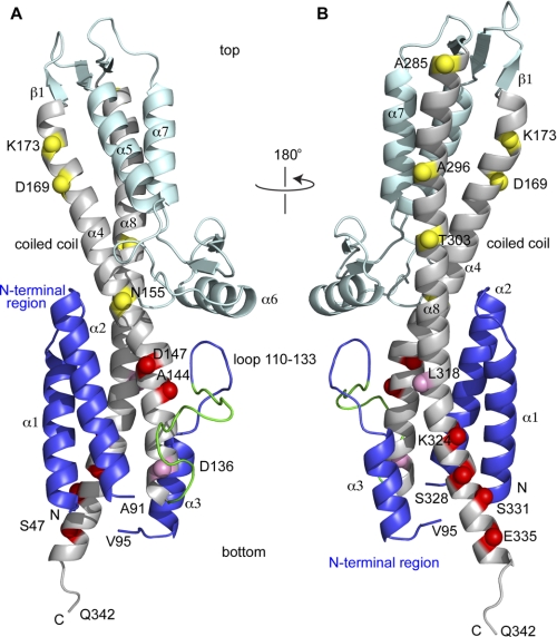 FIGURE 1.