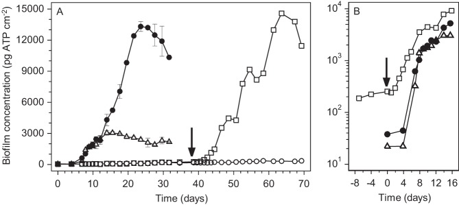 FIG 1