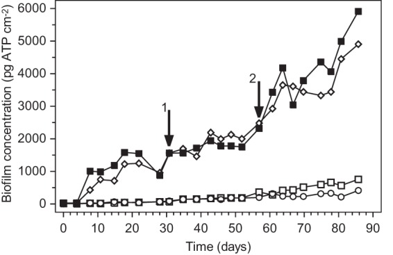 FIG 2