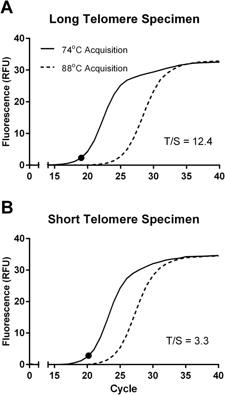 Supplemental Figure S1