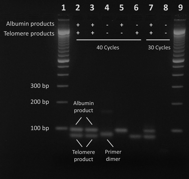 Figure 5