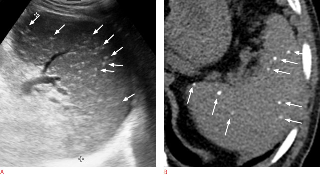 Fig. 20.