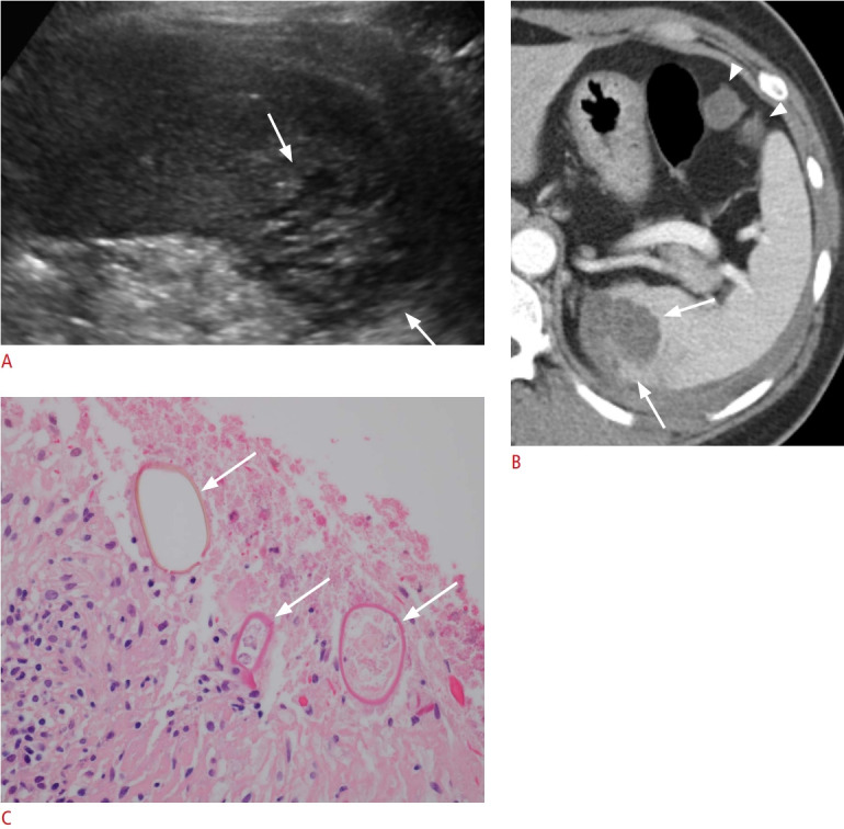 Fig. 8.