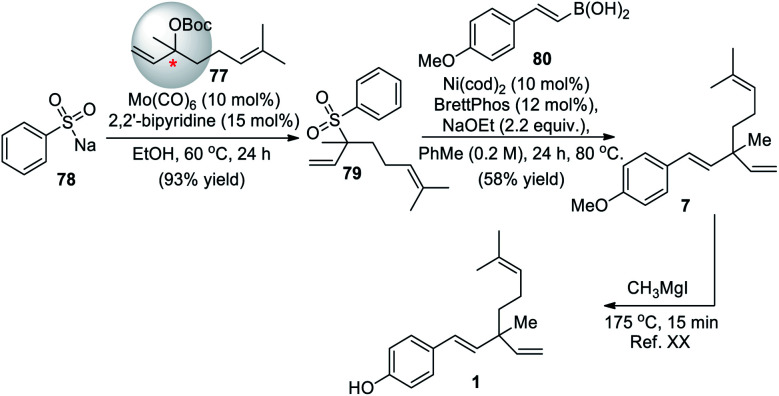 Scheme 19