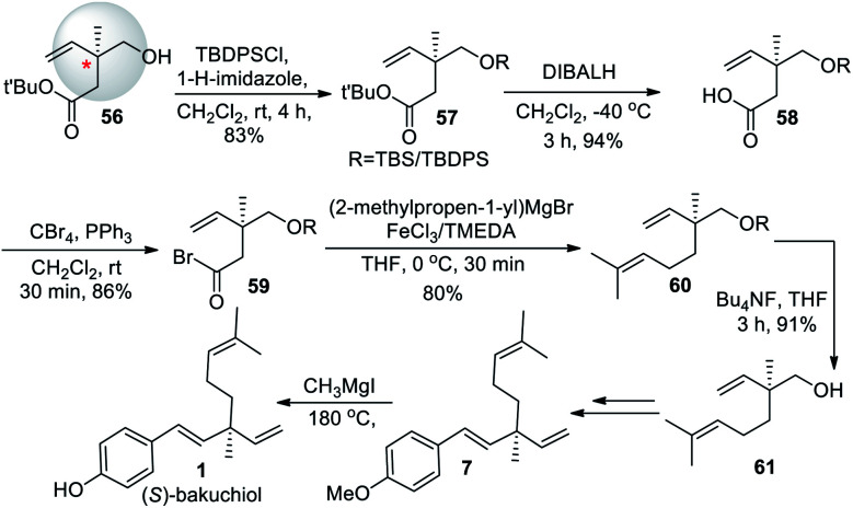 Scheme 15