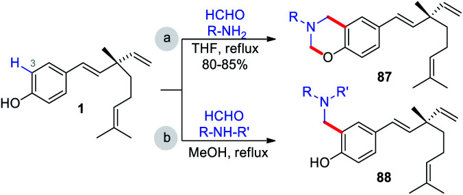 Scheme 23