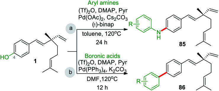 Scheme 22