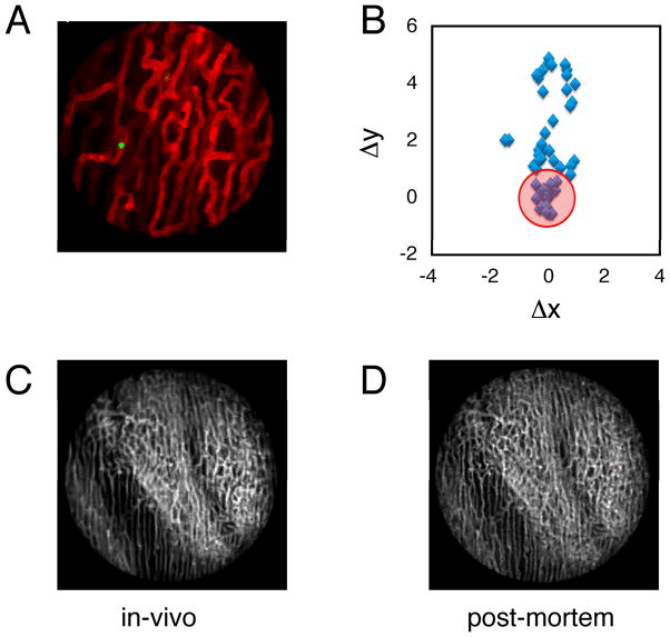 Fig. 4