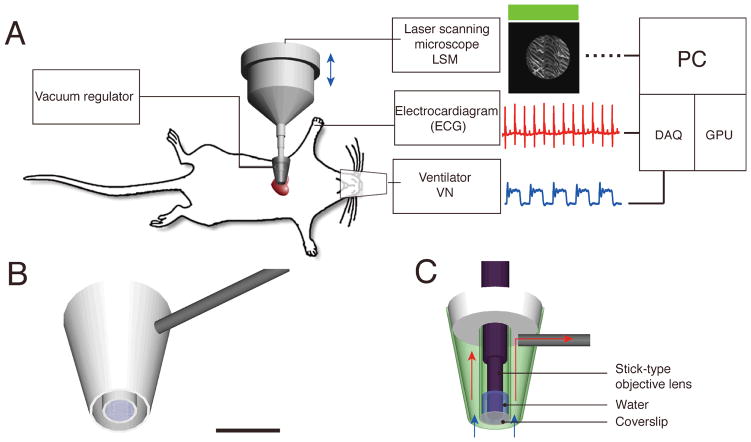 Fig. 1