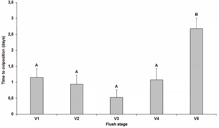 Fig 5