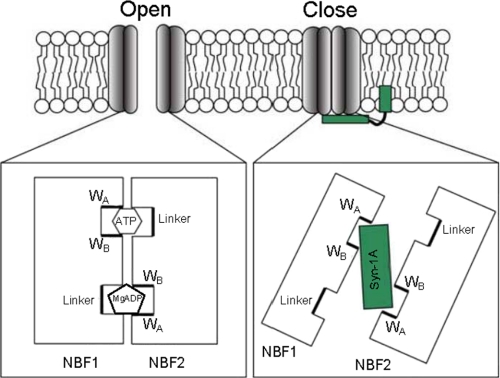 FIGURE 6.