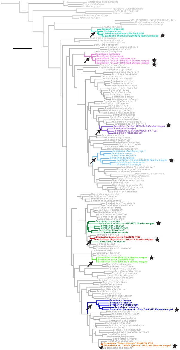 Fig 14