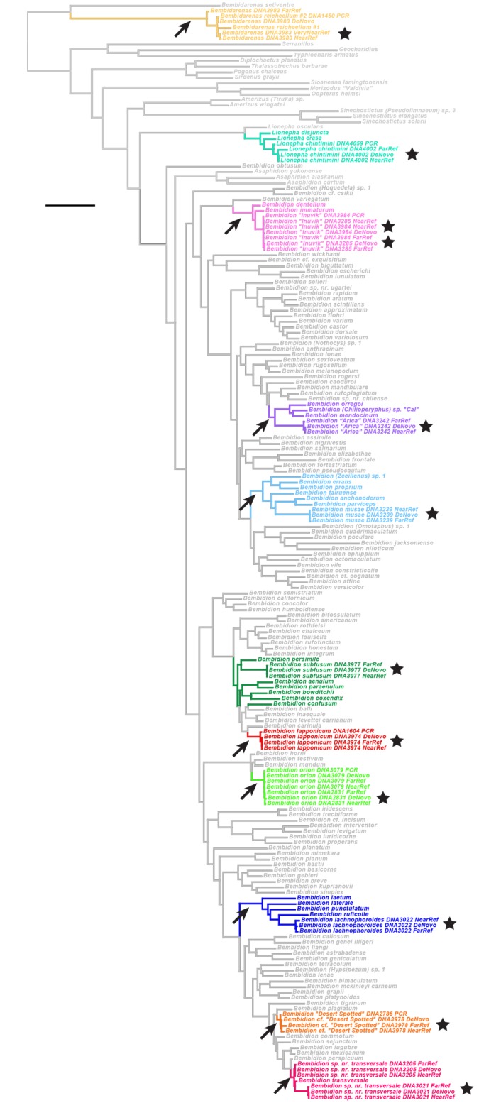 Fig 13