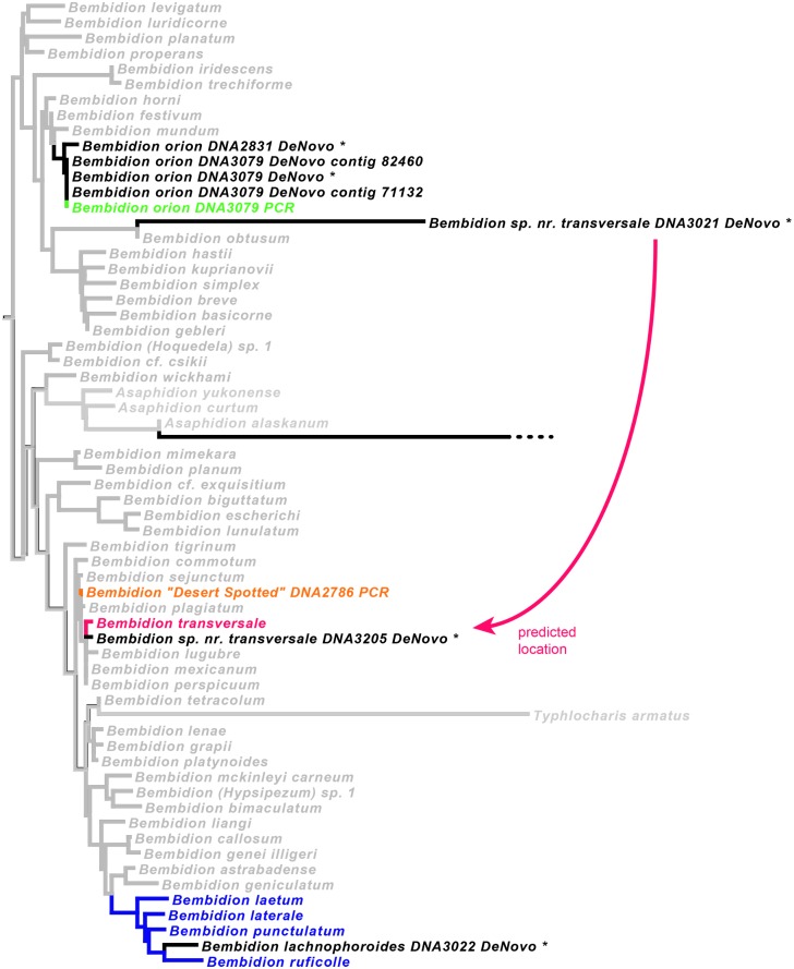 Fig 12