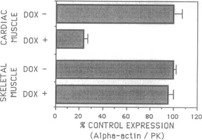 graphic file with name pnas01036-0264-c.jpg