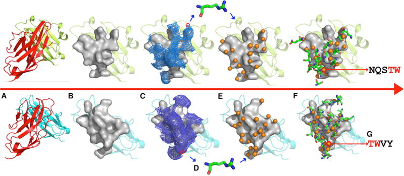 Figure 2.