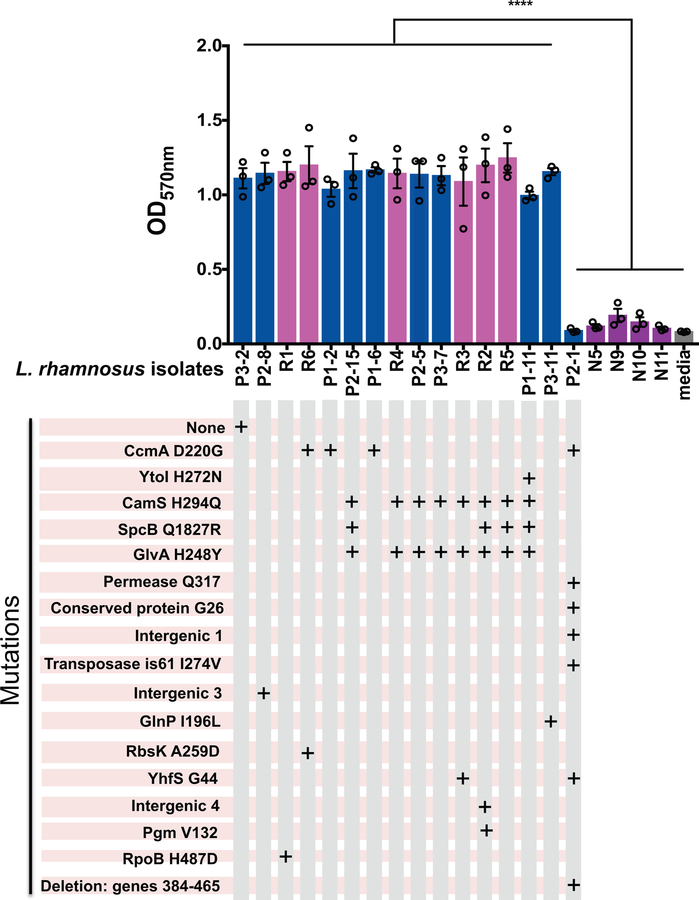 Extended Data Figure 4.