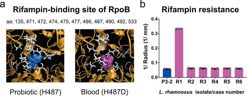 Fig 3.