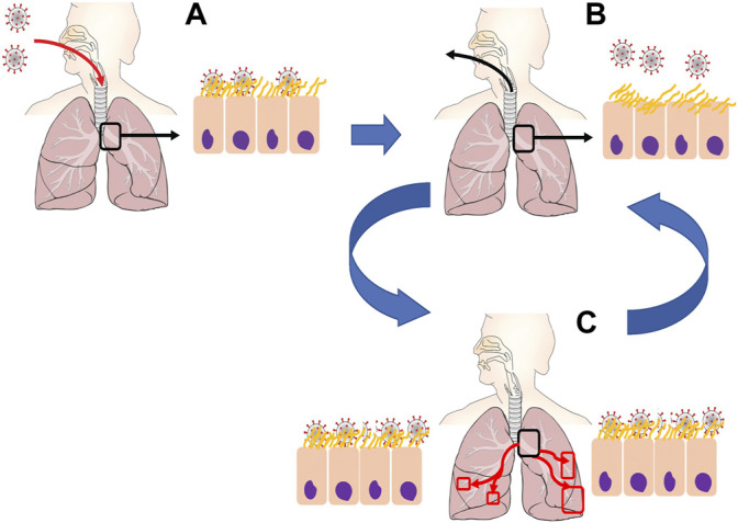 FIGURE 2