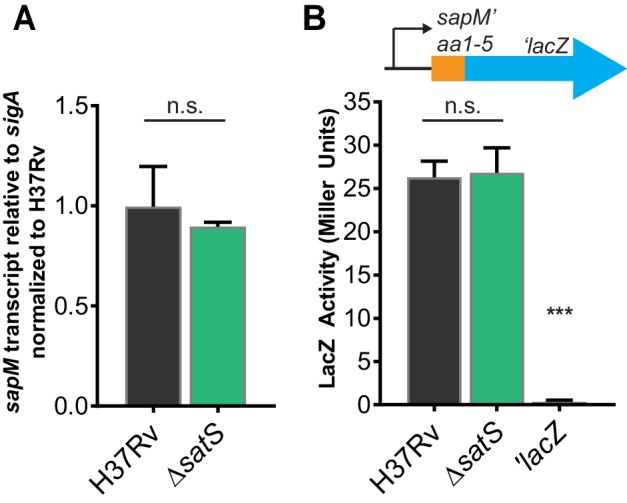 Figure 2—figure supplement 4.