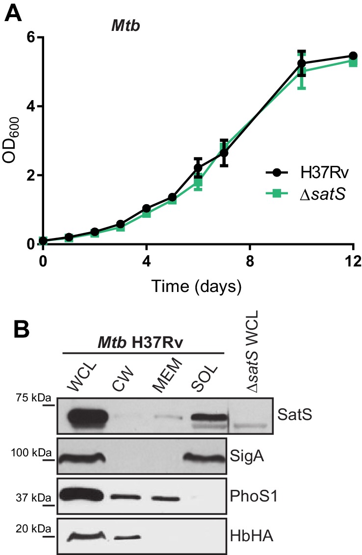 Figure 2—figure supplement 2.