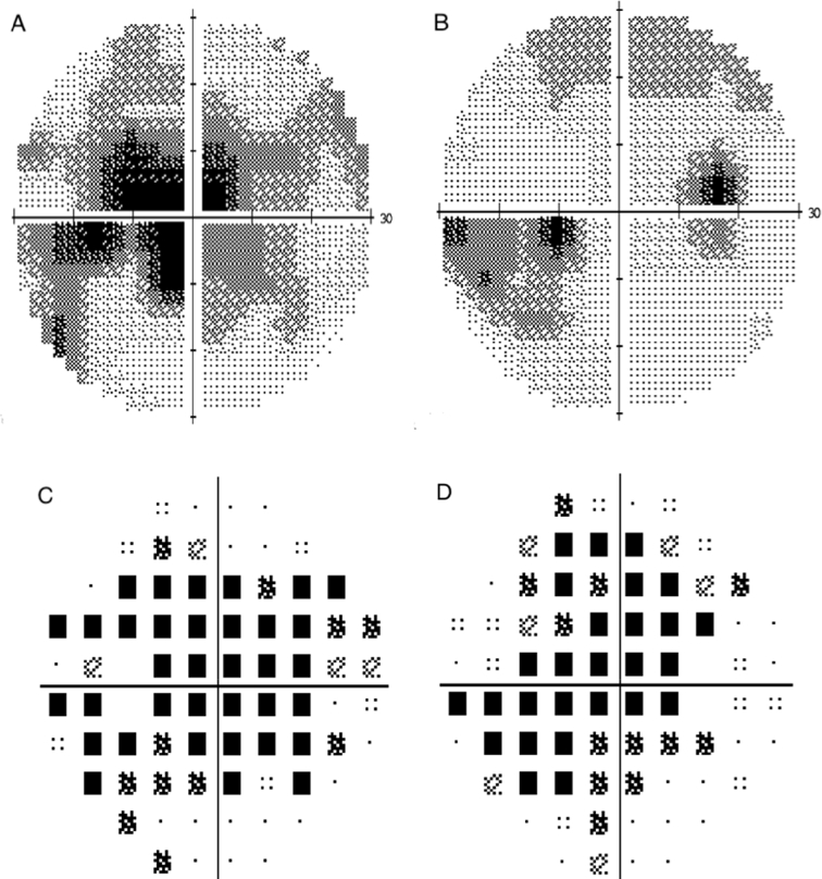 Fig. 2