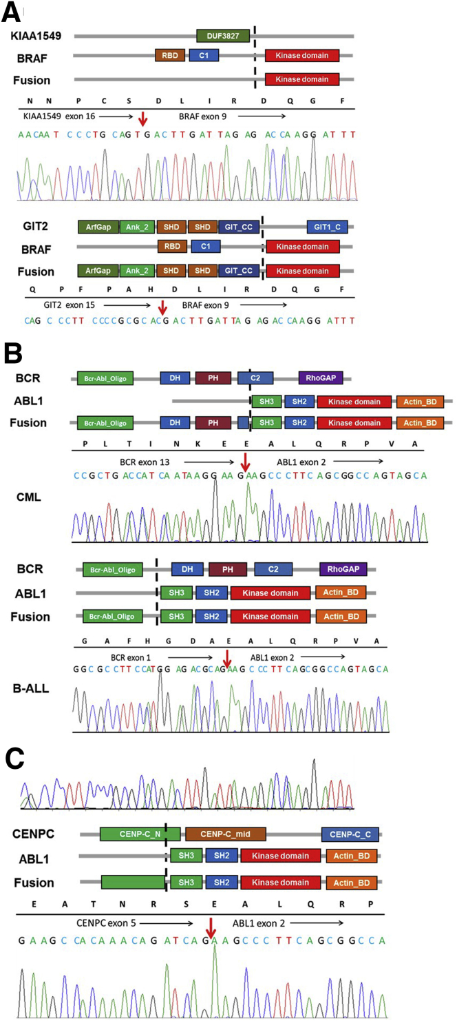 Figure 5