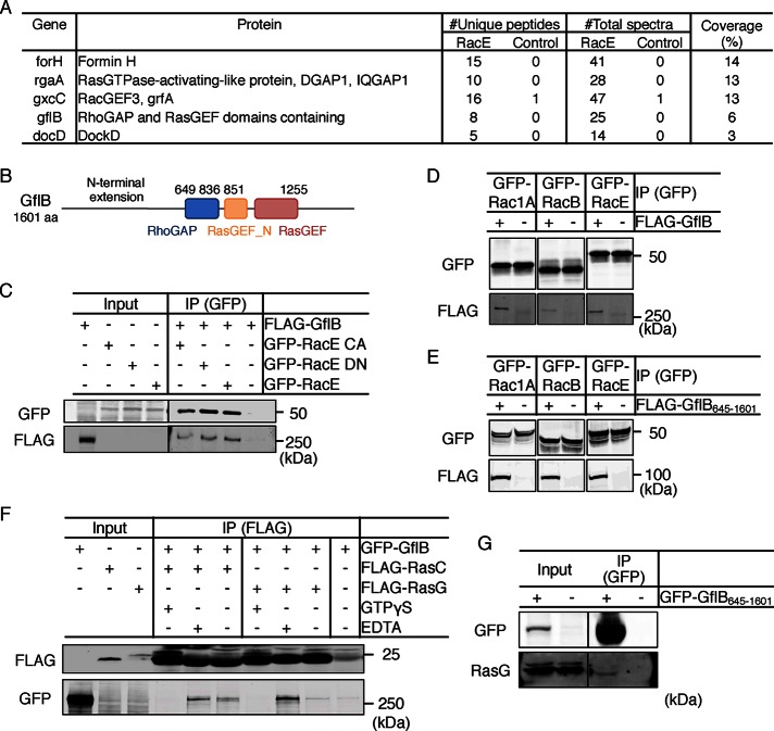 FIGURE 1: