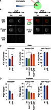 FIGURE 7: