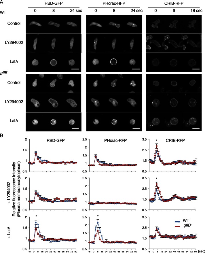 FIGURE 4: