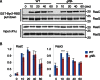 FIGURE 5: