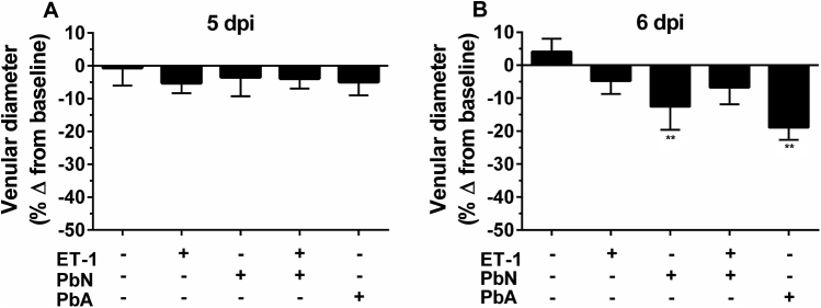 Supplemental Figure S1