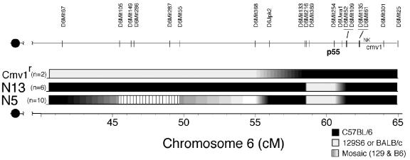 FIG. 6.